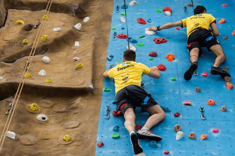 Elegant Light Box Paper Cut Dioramas Adipiscing Labore